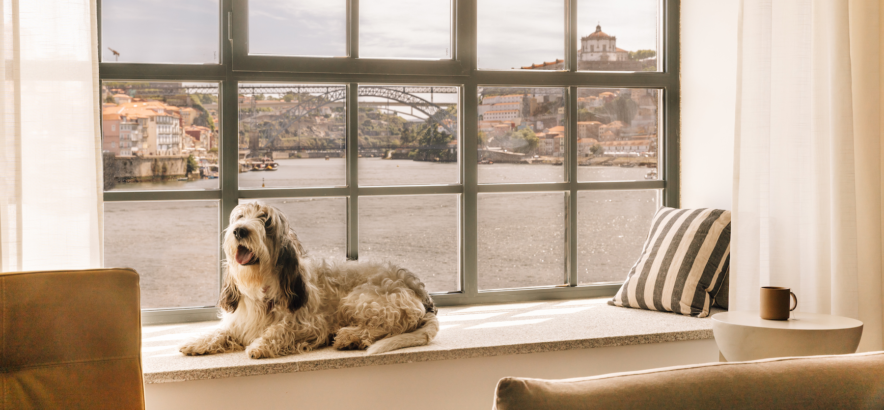 Pet friendly hotel in Porto